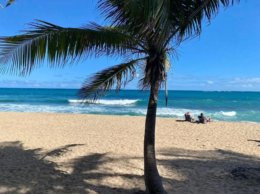 Condado Del Mar Beach Front Jewel A3 San Juan 0*,  Puerto Rico