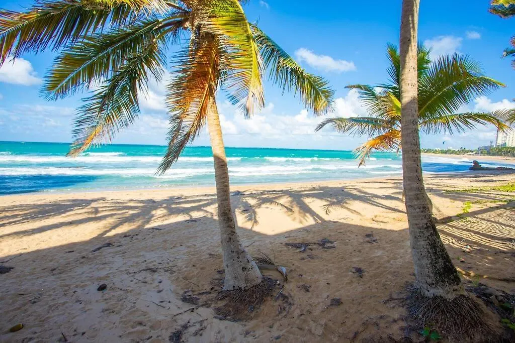 Condado Del Mar Beach Front Jewel A3 San Juan